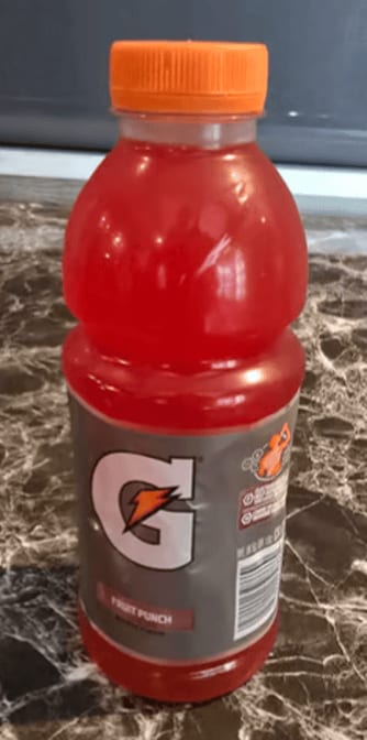 Gatorade Fruit Punch 20oz.